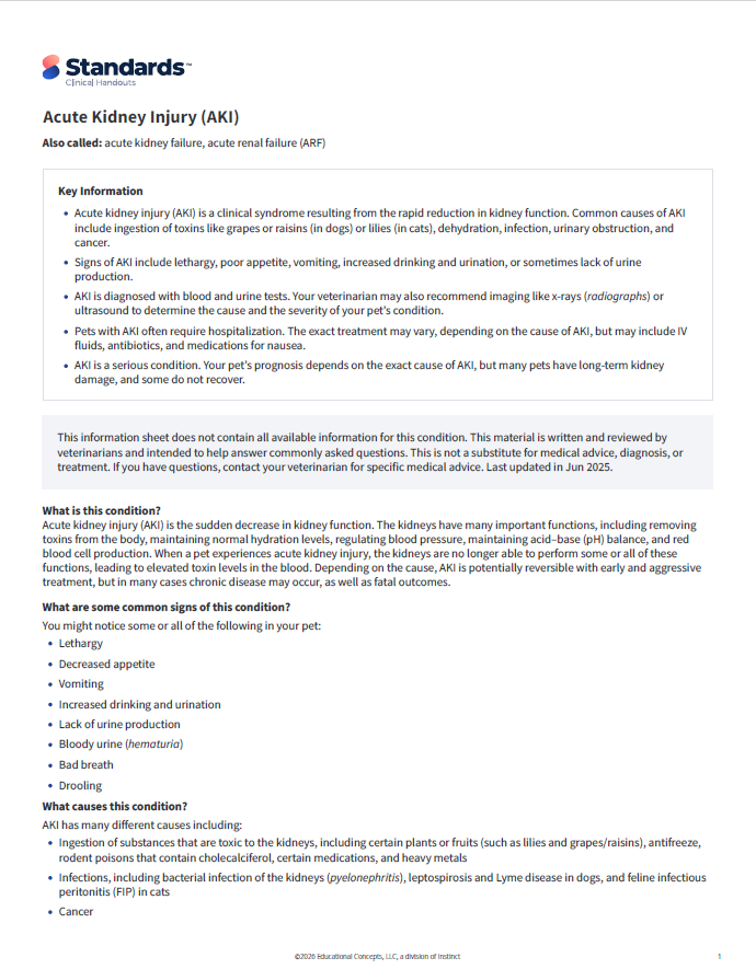 Standards of Care client handout explaining acute kidney injury in pets.