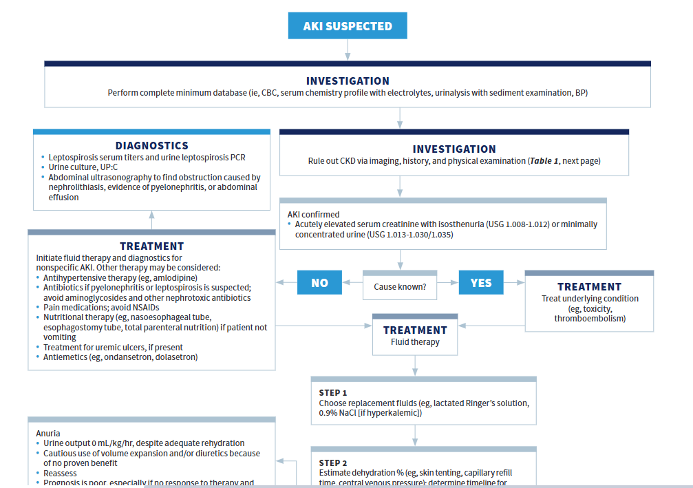Standards of Care algorithm with veterinary diagnostic and treatment guidelines for azotemia and acute kidney injury.