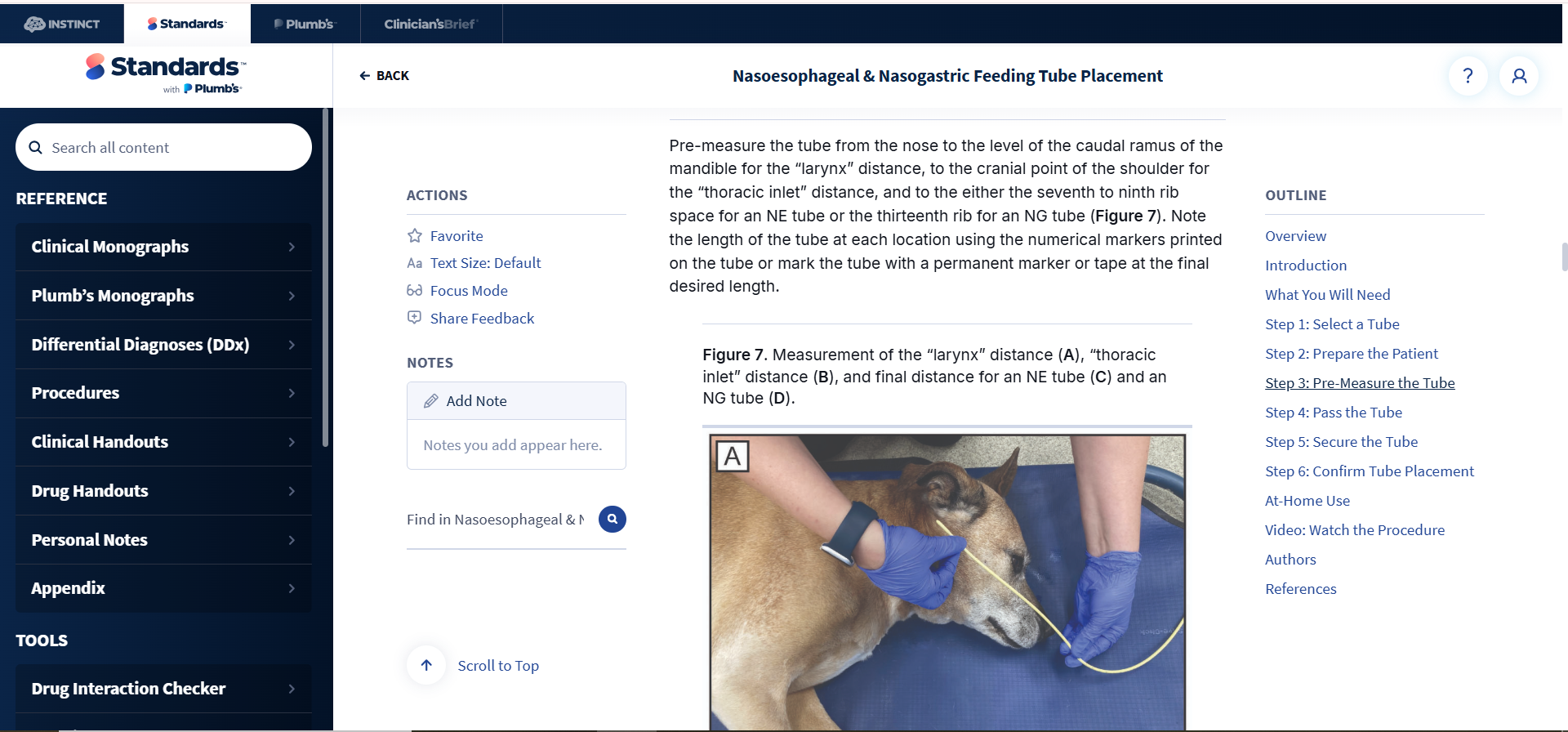Standards of Care procedure guide for nasoesophageal and nasogastric feeding tube placement.