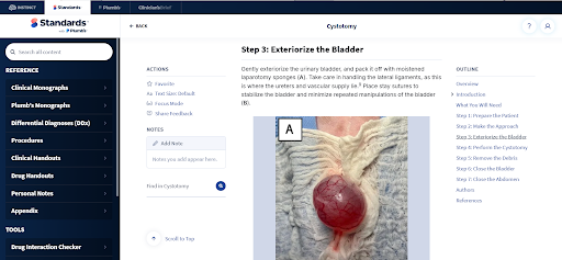 Standards veterinary procedure guide showing bladder exteriorization during cystotomy surgery.