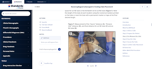 Standards veterinary procedure guide showing NE/NG feeding tube measurement before placement.