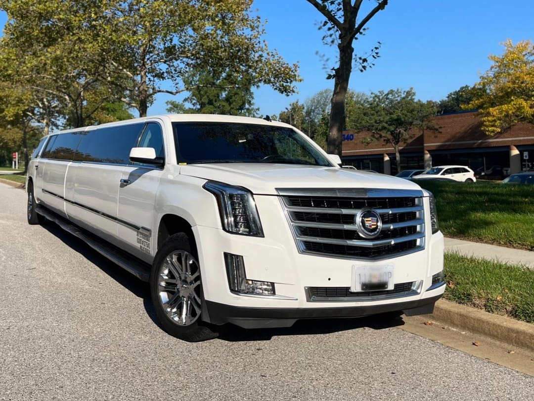 price4limo kids party limo rental