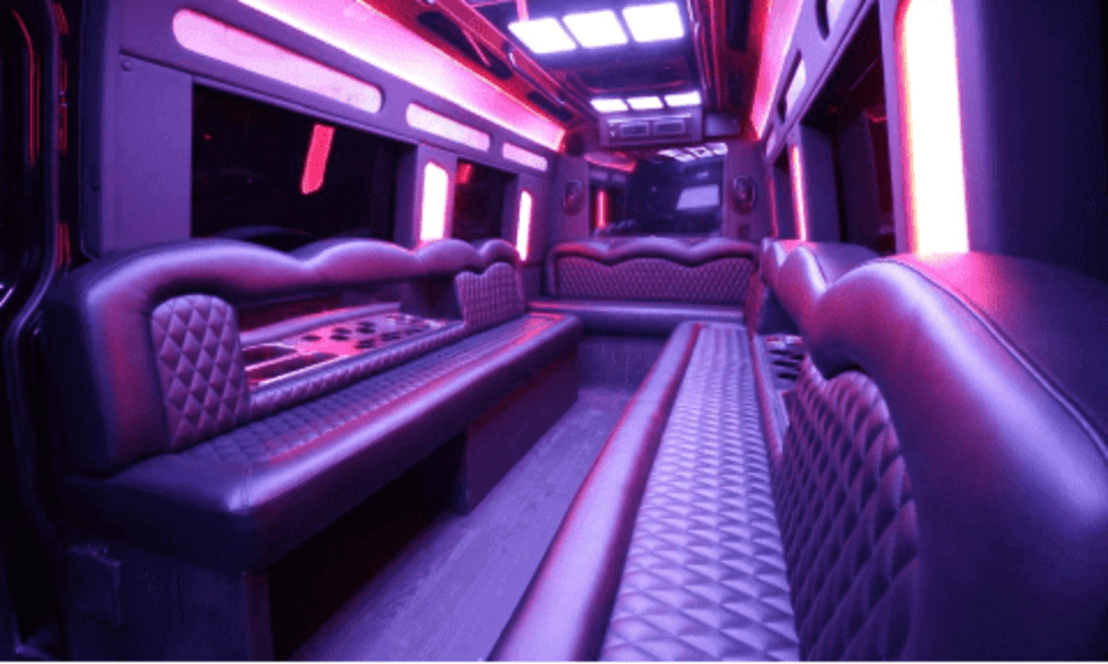 Price 4 Limo 10 Seater Sprinter Party Bus Interior