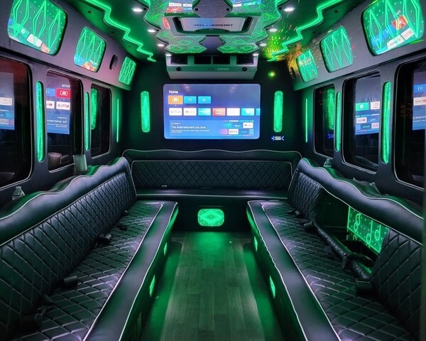 22 Passenger Party Bus Rental Amenities