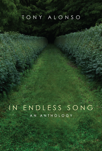 In Endless Song - Guitar edition
