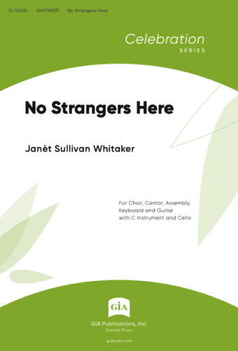 No Strangers Here - Guitar edition