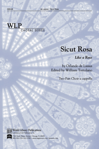 Sicut Rosa