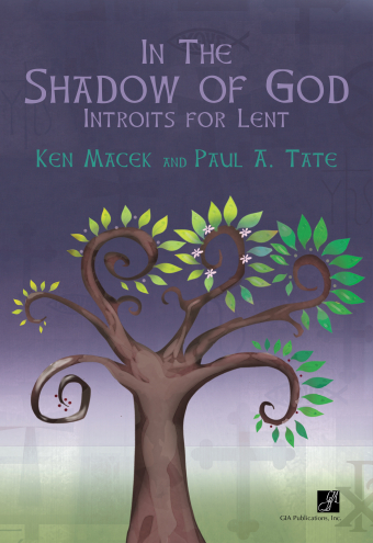 In the Shadow of God - Guitar edition