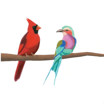 The Cardinal and the Roller