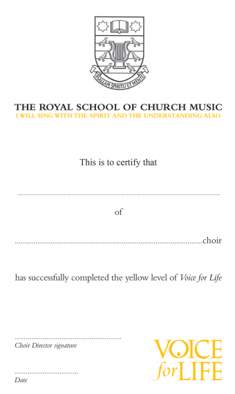 Voice for Life - Yellow Level Certificate
