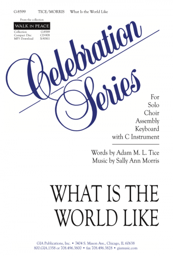 What Is the World Like