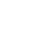 Bonham Independent School District logo