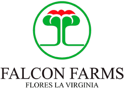 Trabaje con nosotros