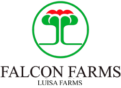 Trabaje con nosotros