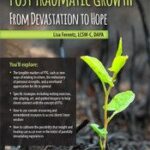 Post Traumatic Growth