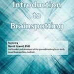 An Introduction to Brainspotting – David Grand