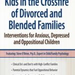 Kids in the Crossfire of Divorced and Blended Families