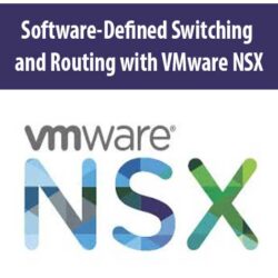 Software-Defined Switching and Routing with VMware NSX