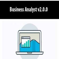 Business Analyst v2.0.0