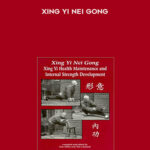 Xing Yi Nei Gong