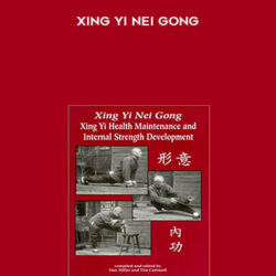 Xing Yi Nei Gong