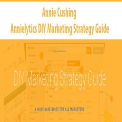 Annie Cushing - Annielytics DIY Marketing Strategy Guide