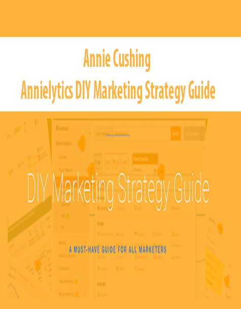 Annie Cushing - Annielytics DIY Marketing Strategy Guide