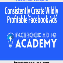 facebook-ad-iq-academy-consistently-create-wildly-profitable-facebook-ads