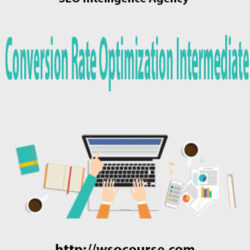 seo-intelligence-agency-conversion-rate-optimization-intermediate