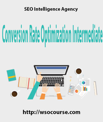 seo-intelligence-agency-conversion-rate-optimization-intermediate
