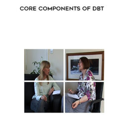 Core Components of DBT