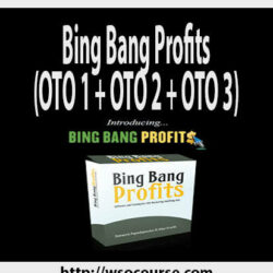bing-bang-profits