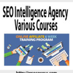 seo-intelligence-agency-various-courses