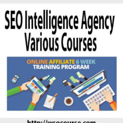 seo-intelligence-agency-various-courses