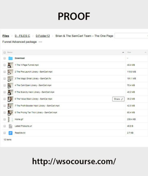 brian-the-samcart-team-the-one-page-funnel-advanced-package