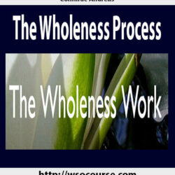 connirae-andreas-the-wholeness-process