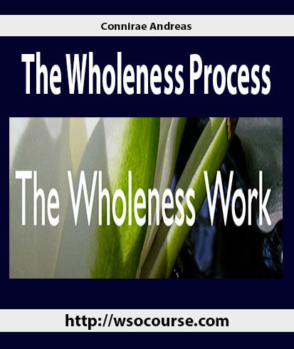 connirae-andreas-the-wholeness-process