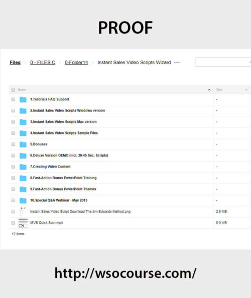 instant-sales-video-scripts-wizard