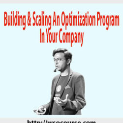 building-scaling-an-optimization-program-in-your-company