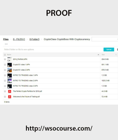 cryptoclass-cryptoboss-with-cryptocurrency