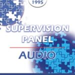 EP95 Supervision Panel 5 – Beck, Kernberg and Zeig