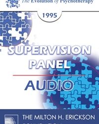 EP95 Supervision Panel 5 - Beck, Kernberg and Zeig