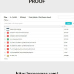 peter-schultz-the-winning-secret