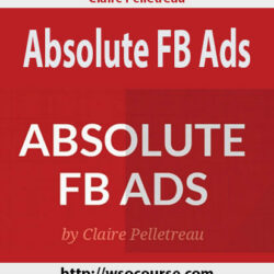claire-pelletreau-absolute-fb-ads