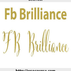 beth-ann-fb-brilliance