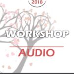 CC18 Workshop 13 – The Developmental Model of Couples Therapy