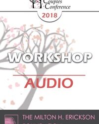 CC18 Workshop 13 - The Developmental Model of Couples Therapy