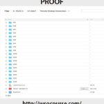 website-strategy-masterclass