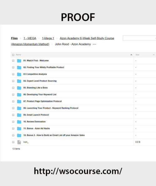 azon-academy-6-week-self-study-course-amazon-momentum-method