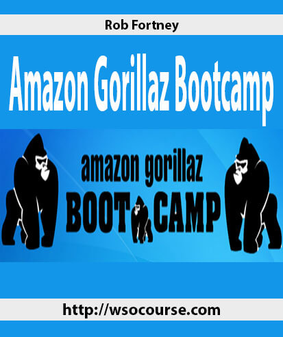 rob-fortney-amazon-gorillaz-bootcamp